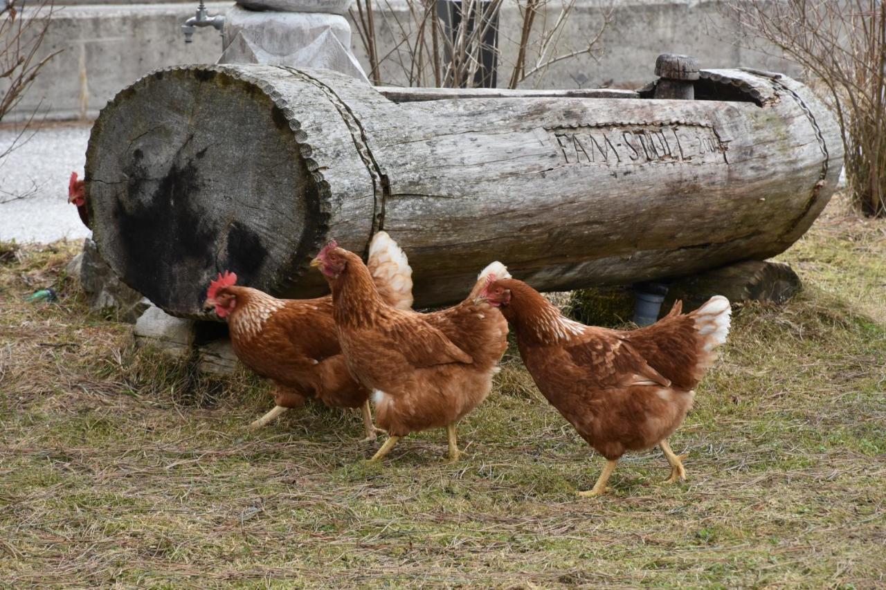 Auenhof Διαμέρισμα Gschnitz Εξωτερικό φωτογραφία